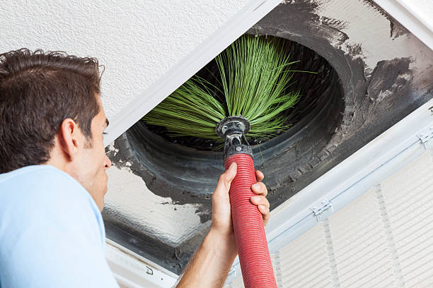 Best HVAC Air Duct Cleaning  in Buckingham, FL